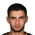 M. Shved