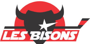 Neuilly Sur Marne W logo