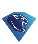 Erc Ingolstadt logo