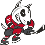 Niagara Icedogs logo