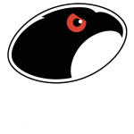 Glasgow Hawks logo