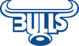 Bulls logo