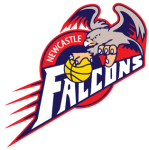 Newcastle Falcons logo