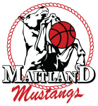 Maitland Mustangs W logo