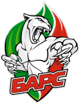 Bars Kazan logo