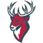 Nizhny Novgorod logo