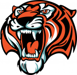 Amurskie Tigry logo