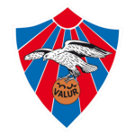 Valur logo