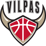 Salon Vilpas logo