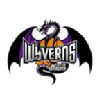 Yamagata Wyverns logo