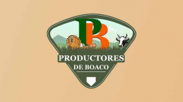 Boaco logo