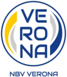 Verona logo